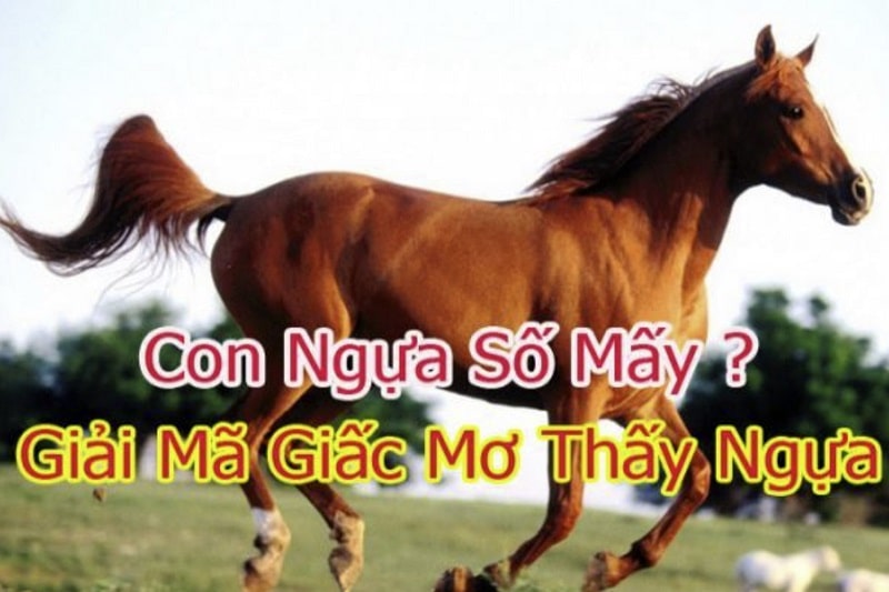 Giải mã giấc mơ thấy ngựa